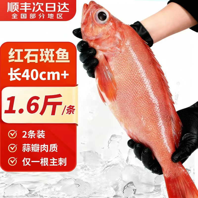 渔吻 红石斑鱼新鲜特大2斤/条 冷冻深海大眼鱼富贵鱼海鲜年货礼盒送人