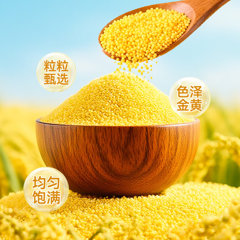 青储粮胚芽小米杂粮黄小米新米当季粮食煮粥煮饭粒粒饱满 1.5kg（100g*15袋独立装）