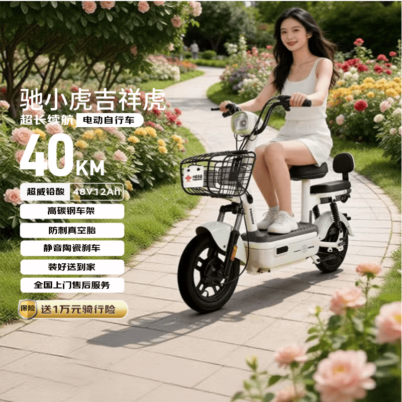 驰小虎电动自行车 吉祥虎新国标电动车电动自行车48V12Ah铅酸电池长续航电瓶车成人代步车电车 绿色