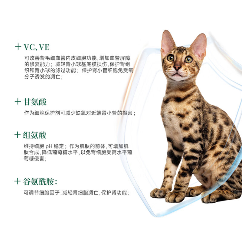 科学喵Dr.cats肾久胶囊宠物综合营养补充剂维生素氨基酸【年货节】 【护肾养肾】60粒+肾久7粒+冰箱贴盲盒+宠物湿巾