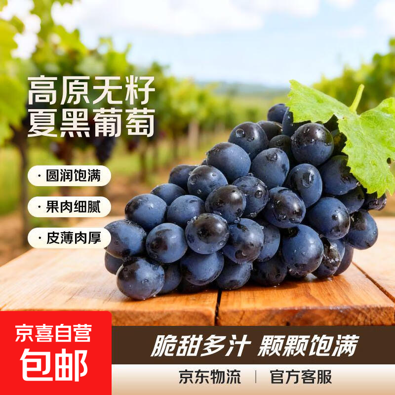 云南建水夏黑葡萄（无籽黑提）孕妇水果酸甜口 无籽黑提孕妈推荐1.8-2.2斤装（2-3串）