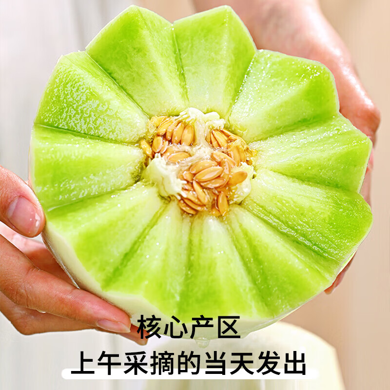 果食鲜丰海南玉菇甜瓜水果整箱年货送礼春节时令水果 净重4.5-5斤【人工挑选】