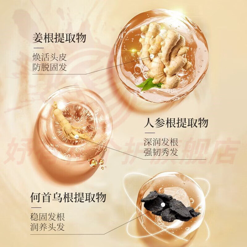 熏姿颜希芳生姜洗发水正品防脱防断育发固发强韧发根滋养头皮控油去屑 1瓶周期装【防脱养发】 官方自售