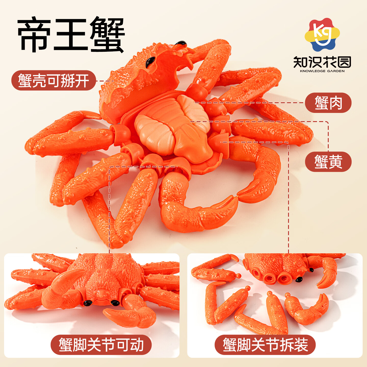 知识花园早教益智切切乐海鲜水果齐上阵厨具龙虾生日新年礼物 海鲜套餐9PCS