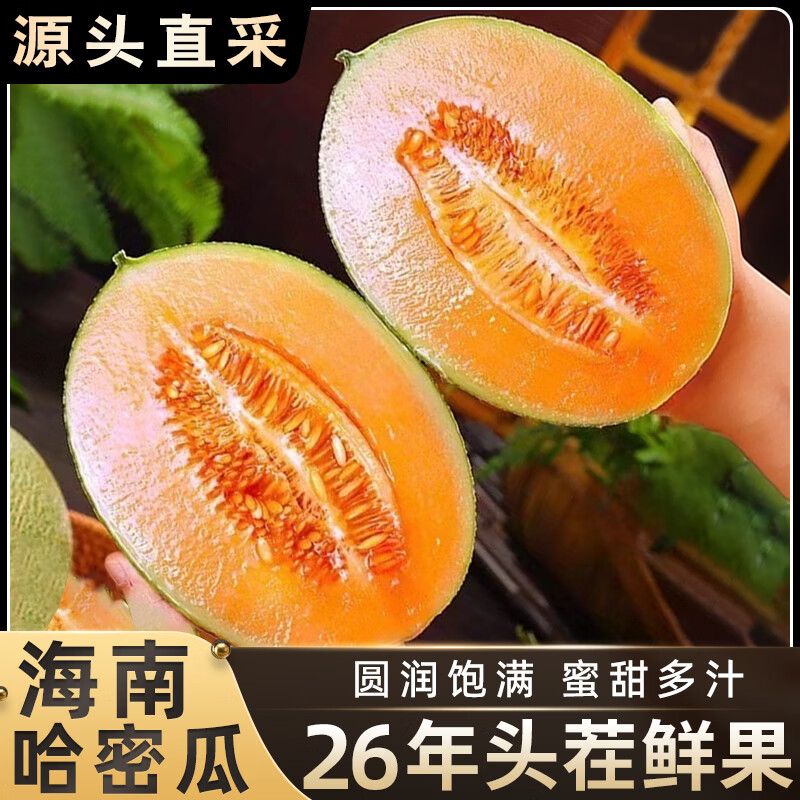 旭霁正宗海南哈密瓜【多地次日达】脆甜多汁热带应当季孕妇水果整箱 4.5-5斤 2-3个【热销装】
