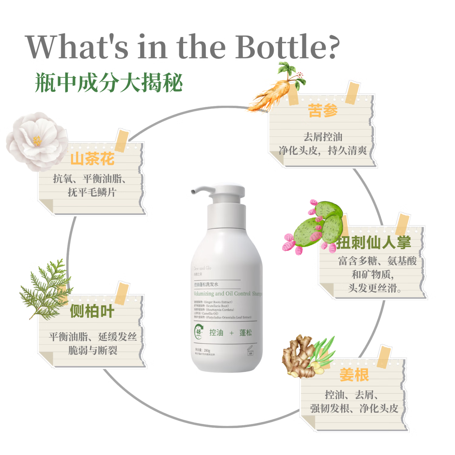 海梨之柒Dew and Glo 海梨之柒控油蓬松洗发水 正品 去屑洗发水 清爽持久 605g组合装(280g两瓶+45g)