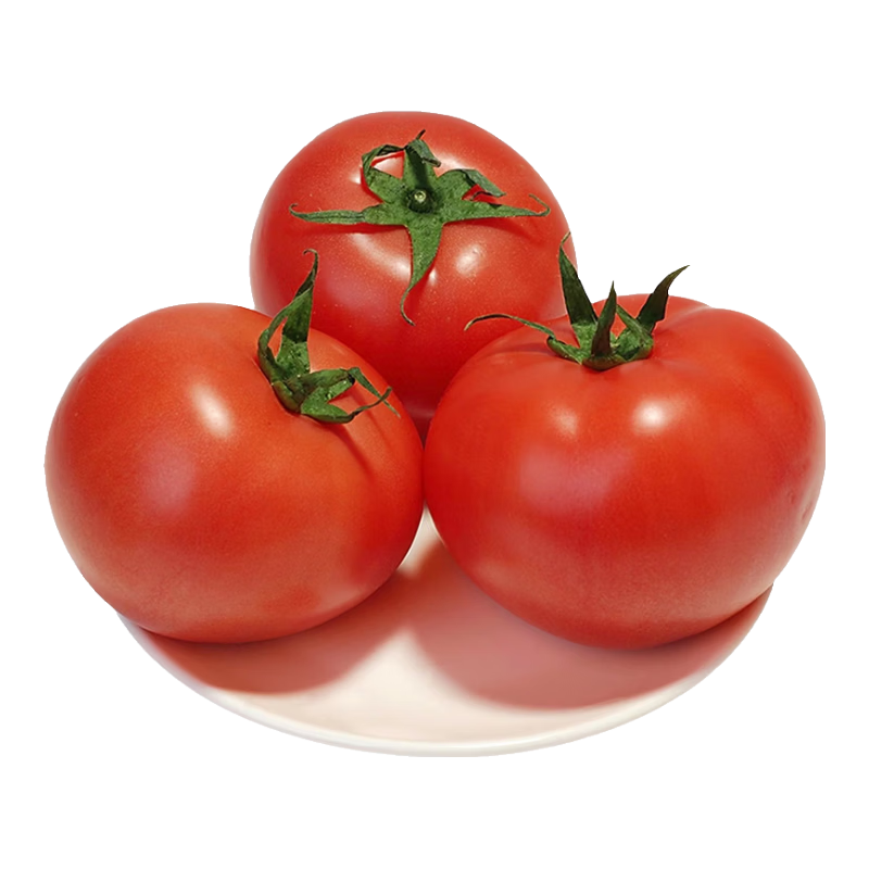 ��ϲ�� ɽ��ɳȿ������ˮ������ 5����� ����70g+ ����1.8�� 5.89Ԫ