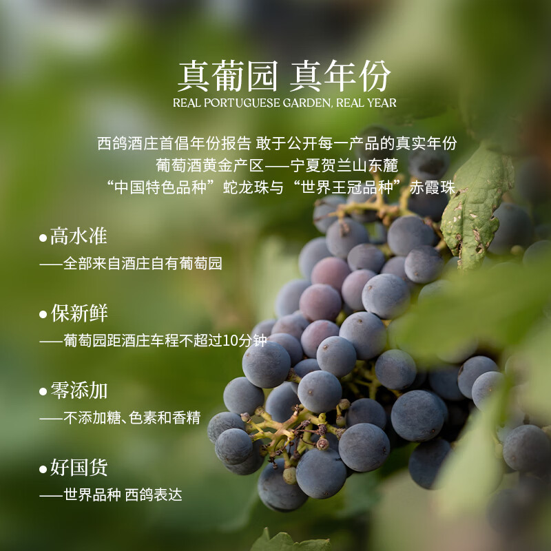 西鸽酒庄宁夏贺兰山东麓红酒 西鸽N50干红葡萄酒  国产红酒 礼盒年货送礼 单支750ml*1