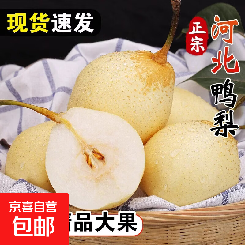 京喜加正宗河北大鸭梨产地直发新鲜梨子水果老树鸭梨产地直发 带箱2斤装【中果试吃 单果150g+】