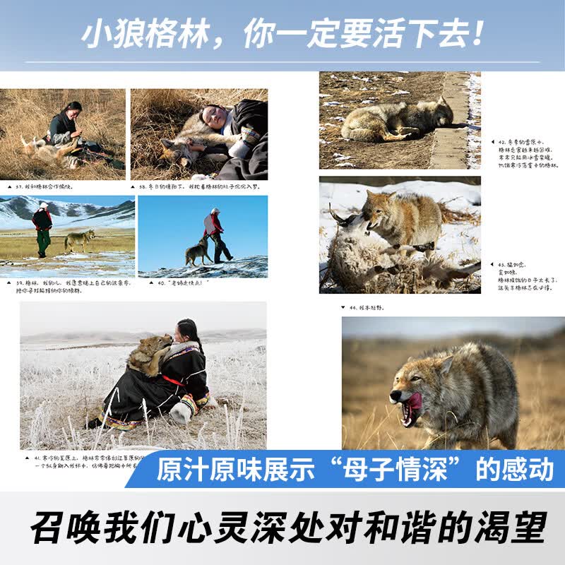 当当童书重返狼群李微漪正版全2册 让我陪你重返狼群+千里寻你重返狼群狼图腾姜戎同名电影原著儿童文学动物小说中小学生课外阅读正版书籍 【全套2册】重返狼群