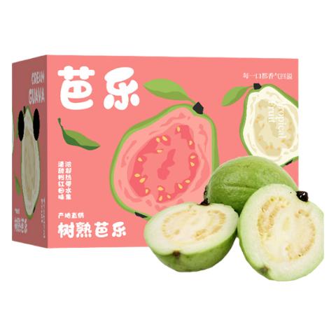 京鲜生 白心奶油芭乐番石榴 净重3斤 单果150g+ 生鲜水果礼盒