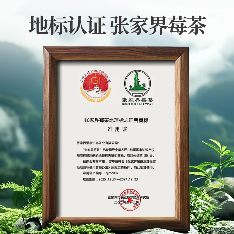 福锦袍张家界莓茶永顺龙须芽尖特级莓茶藤茶嫩芽尖花茶滋补养生茶125克 特级芽尖 125g*1袋 【张家界霉茶】