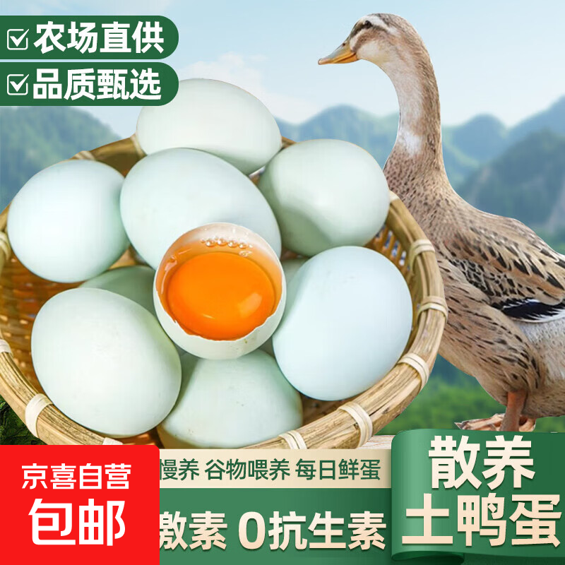 戚溪甄选无抗鲜鸭蛋生鸭蛋土鸭蛋0抗生素0激素无腥味营养散养鸭蛋 60-70克10枚新鲜生鸭蛋 【真无抗更健康】 林下散养+无抗检测+无沙门氏菌