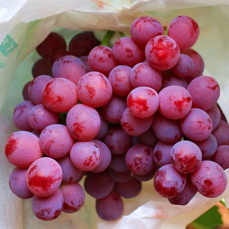 果汇堂云南宾川红提新鲜现摘当季葡萄黑提子高原孕妇甜水果 3斤