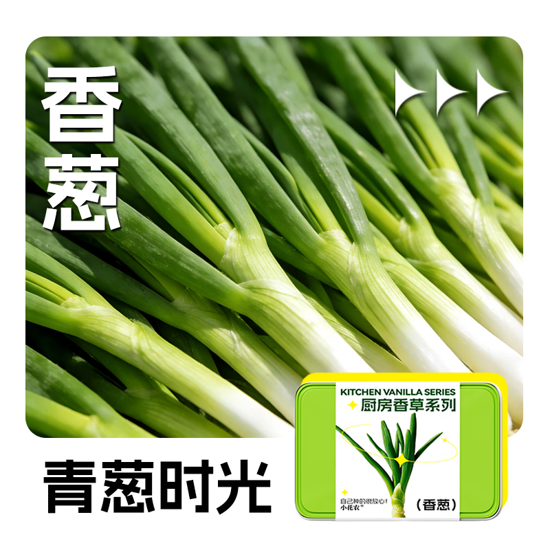 小花农儿童蔬菜花果种植小盆栽种子幼儿园植物生长观察实验套装玩具 厨房香草【葱】新款