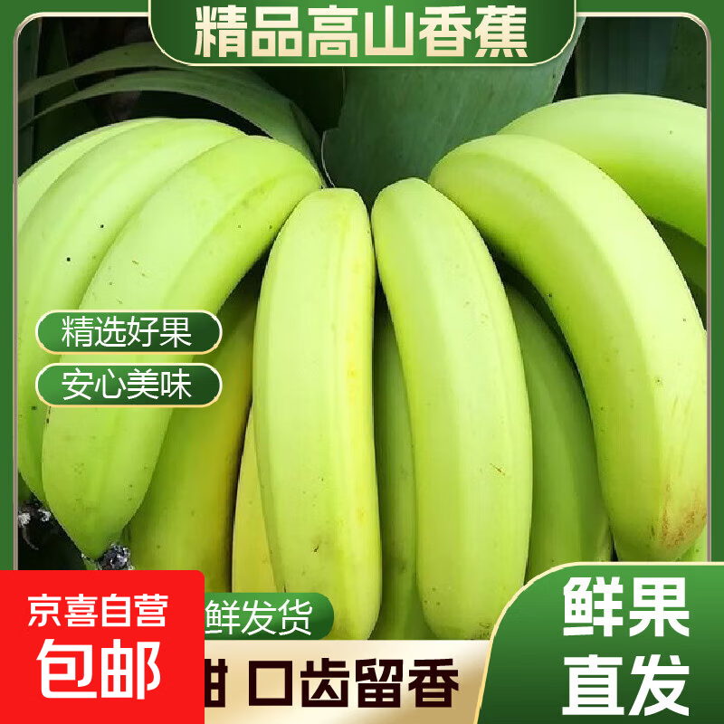 高山香蕉广西产地直发薄皮青果软糯香甜自然熟当季新鲜采摘纯天然 高山香蕉带箱2斤