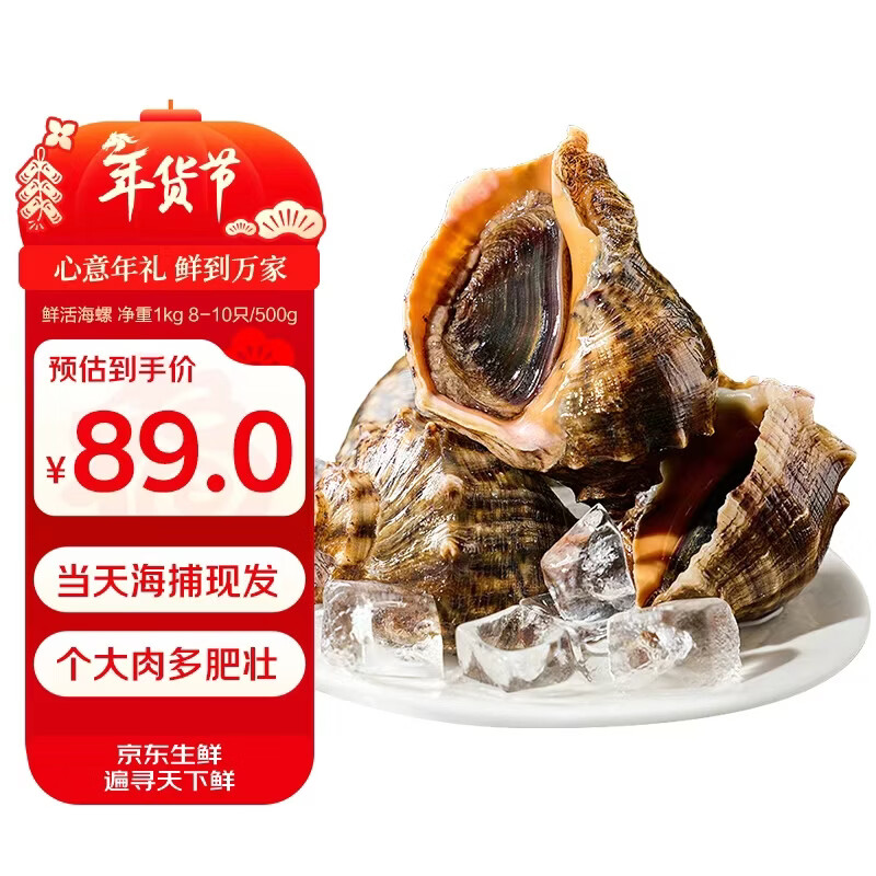 小海故事 鲜活海螺 净重2斤 8-10只/斤 生鲜海鲜贝类 连云港源头直发