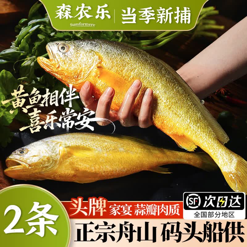 森农乐深海大黄鱼礼盒舟山东海半野生小黄花鱼生鲜活冻冰鲜水产礼包商用 2条无礼盒【每条约1斤】