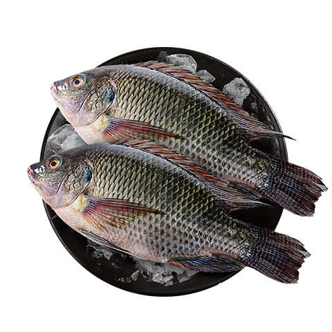 GUO LIAN����ˮ�� ��ȥ�޷��㾻��4��/4��������� �������� �����տ�