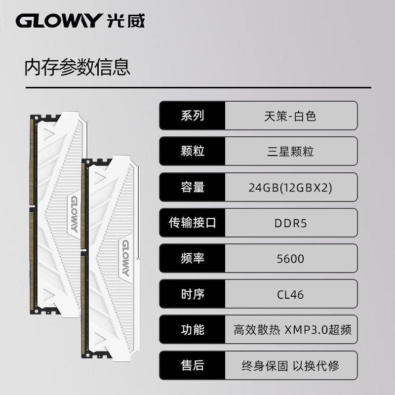光威（Gloway）天策32g(16gx2) ddr5 4800 5200 5600 6000 6400台式机内存条 天策-白色 5600 DDR5 24GB(12GB