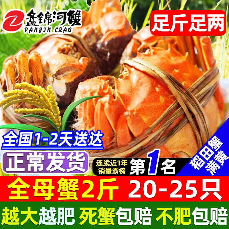 【活蟹】网兜蟹辽宁盘锦河蟹稻田河蟹礼盒螃蟹鲜活大闸蟹无绳净重 全母蟹丨0.8-1.0两【2斤】20-25只