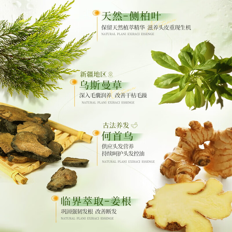 VSZE侧柏叶洗发皂乌斯曼草洗头皂香皂防断发控油蓬松去屑何首乌洗发水 侧柏叶洗发皂120g×1盒