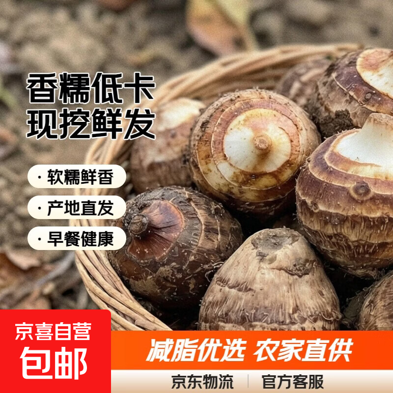 正宗农家山东牛奶芋头新鲜香芋芋艿现挖毛芋减脂低卡香糯小奶芋 牛奶小芋头带箱1斤