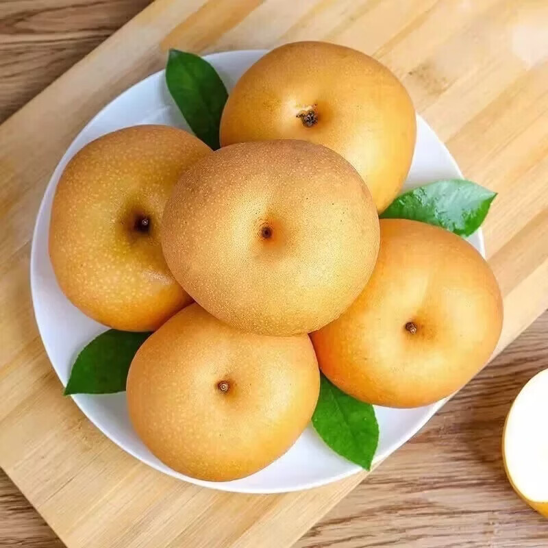 山东冰糖圆黄梨丰水梨南水梨 脆甜多汁新鲜水果 送礼佳品 5斤【推荐】单果约350g+ 净4.5斤｜4-6颗