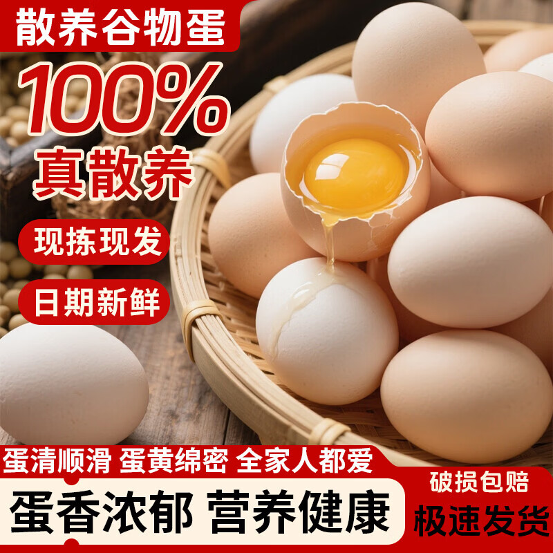 新鲜土鸡蛋10枚 4.98元，寿光水果黄瓜净5斤 6.99元 - 线报酷