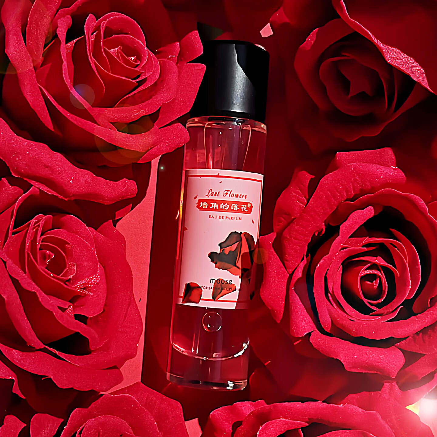 慕水（moose） 玫瑰香水女士玫瑰花味的香水30ml 墙角的落花【红玫瑰花香】 30ML