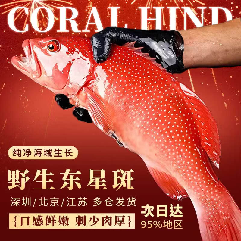 �ʳк������ǰ�ʯ����Ұ�������ʻ��䶳������β�� ���ຣ��������� ��1.4-1.7��/����Ұ���������ǰ�