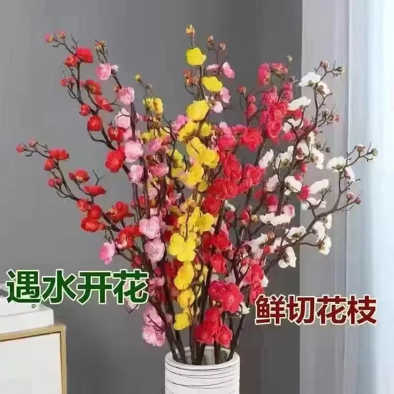 清洁JTT 水培干枝梅花40-50cm(20枝) 红色遇水开花(干枝)