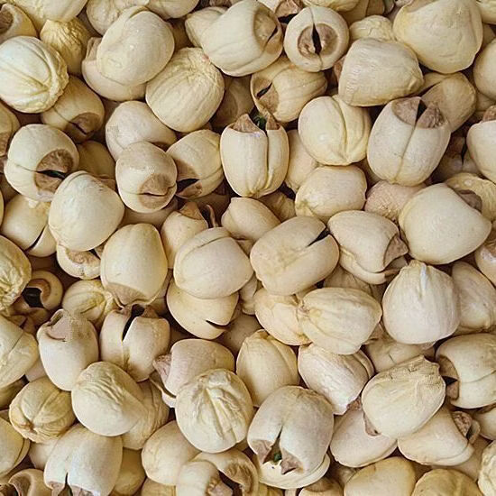 建蓮今年新貨建寧帶芯蓮子干貨有芯手工蓮子農(nóng)家新鮮有心無(wú)硫蓮子 半斤