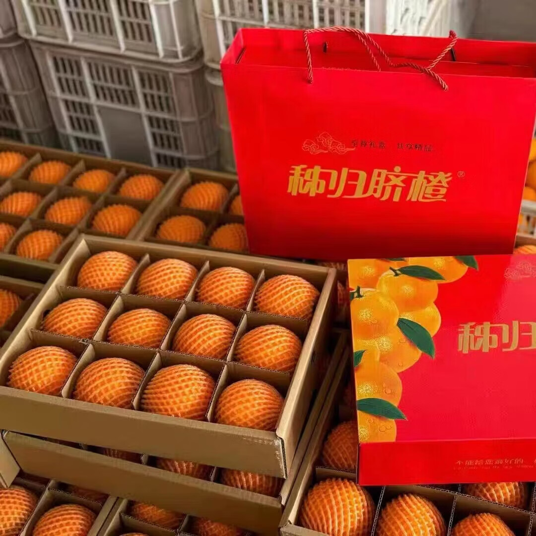 秭归红现摘湖北秭归中华红橙血橙应季皮薄新鲜水果产地直发 【水果礼盒】红橙臻品12枚（80mm+）