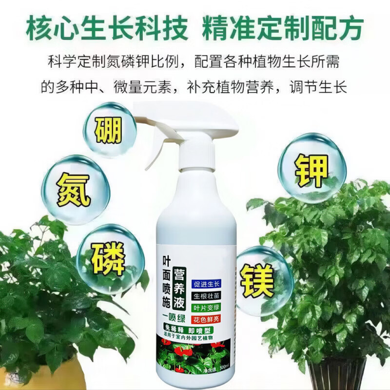 贝舒鹿贝舒鹿营养液叶绿素植物园艺叶面肥护理剂通用营养液绿植叶片促生 2瓶【基础护理】 【官方直售京质保障】