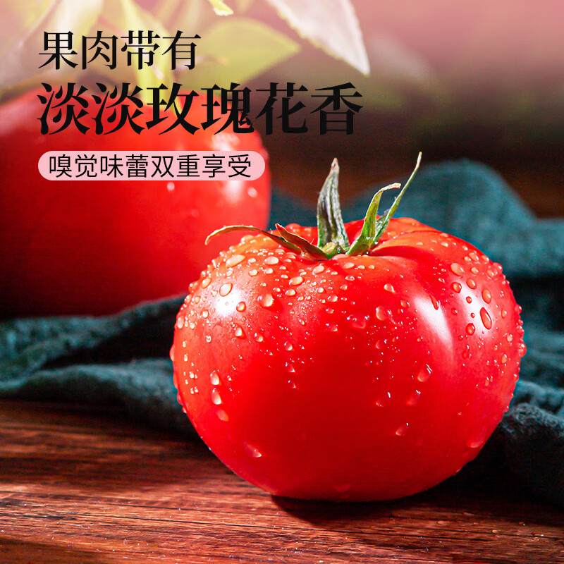 山努农场玫瑰番茄水果自然熟草莓西红柿多汁新鲜小柿子 玫瑰番茄大果 单颗70g+ 4斤