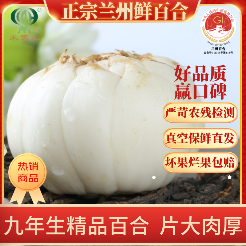 米家山【顺丰特快】兰州鲜百合礼盒装 兰州特产 特级甜百合 佳节送礼 大独头皇精品礼盒 9袋装