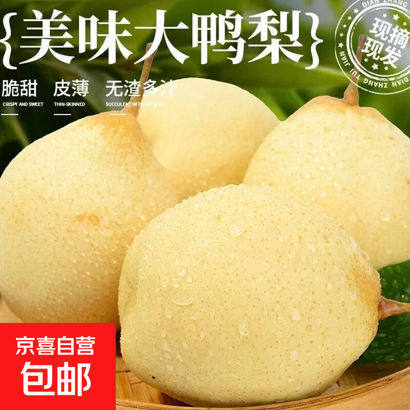 河北正宗水晶鸭梨脆甜多汁新鲜水果【京严选】多地隔日达当季特产 带箱1斤[净重0.8斤] 当季新梨 果园直发 京东快递