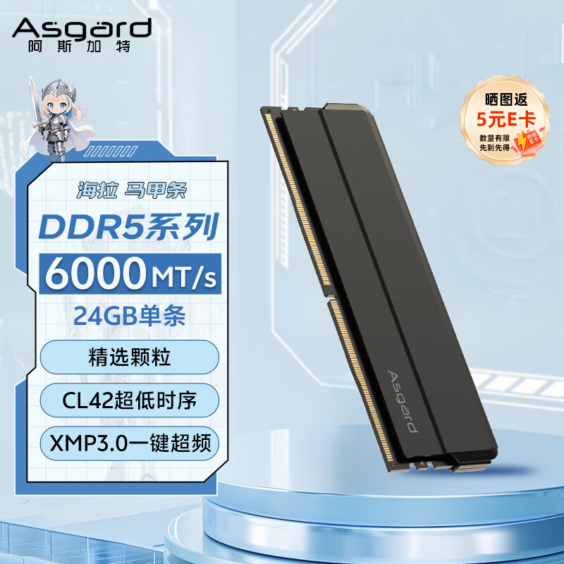 ��˹���أ�Asgard��24GB DDR5 6000 ̨ʽ���ڴ��� ���� ������ ��ѡ���� CL42 ��ҹ��