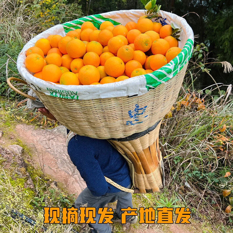 秭归脐橙宜昌九月红果冻橙子柑橘当季鲜甜橙孕妇水果9斤整箱正品保障 5斤 60mm65mm