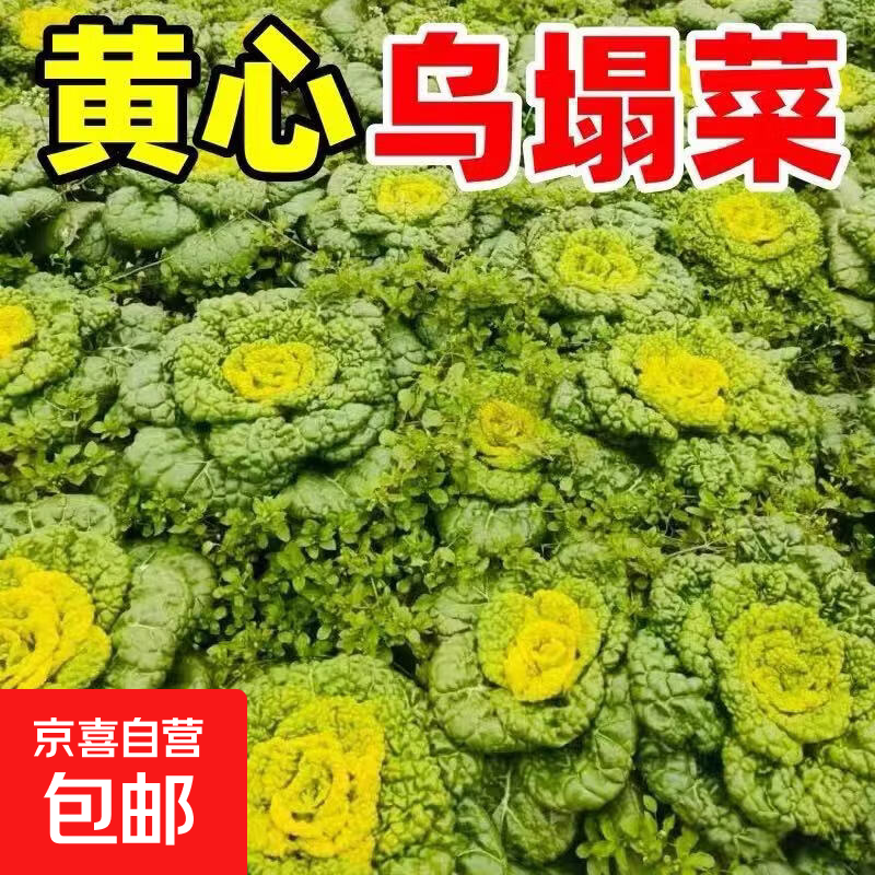 ���ڲ��������ʻ��Ĳ�Ӧ���߲˲�����������˪�������� ���������˾���1.8�� 5.89Ԫ