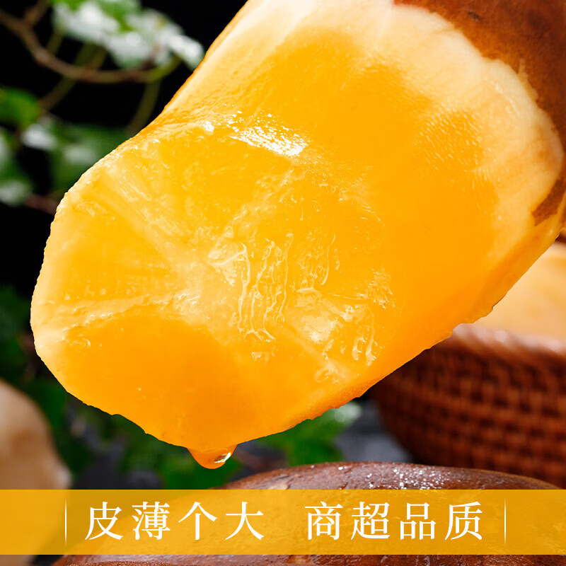 余悦云南雪莲果【多地次日达】天山黄心雪莲果新鲜现挖整箱送礼 【净重5斤丨单果150g+】普箱-店家力荐