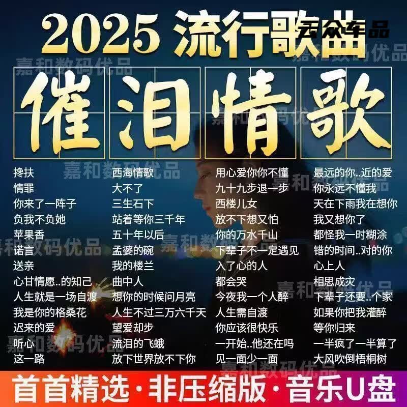 行后2026网络伤感情歌车载音乐U盘抖音伤感流行情歌曲无损高品音质MP3 U盘【催泪情歌】有杂音+5首歌