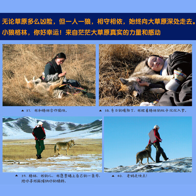 【官方正版-京仓直配】全套2册 重返狼群 李微漪重返狼群 重返狼群李微漪正版 让我陪你重返狼群+千里寻你重返狼群 李微漪中国儿童文学小说 小学生课外阅读书籍狼图腾姜戎同名电影原著小说图书籍 让我陪你重