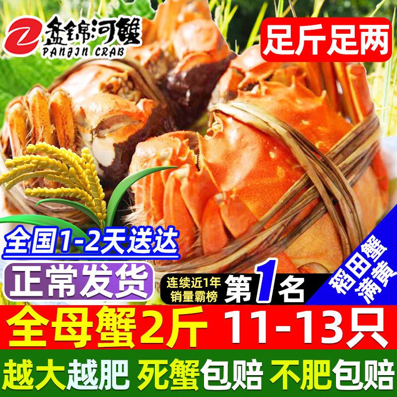 【活蟹】网兜蟹辽宁盘锦河蟹稻田河蟹礼盒螃蟹鲜活大闸蟹无绳净重 全母蟹丨1.6-1.8两【2斤】11-13只