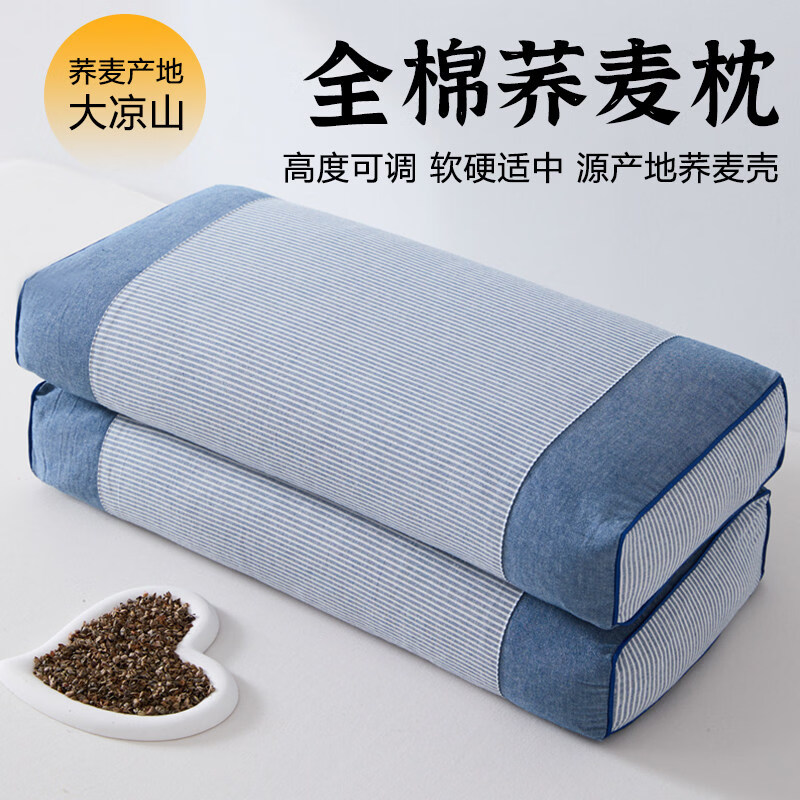 南极人（Nanjiren）水洗棉荞麦枕头成人一对护颈枕芯枕头男士专用家用宿舍单人颈椎枕 条纹宫廷-蓝 【舒适水洗棉 柔软护颈】 20*50*8cm【单只装】