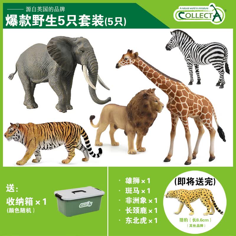 COLLECT英国CollectA我你他仿真动物模型玩具野生史前恐龙昆虫海洋套装 冲量热销野生动物（5只）送收纳箱和品牌猎豹