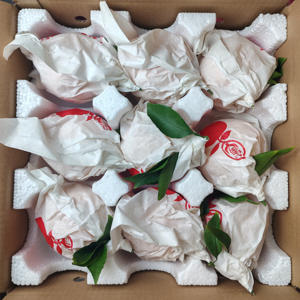 馋果野正宗四川春见耙耙柑年货礼盒零添加新鲜时令水果过节水果礼盒橘子 原袋带箱5斤【果王】80-85mm 京东折扣/优惠券