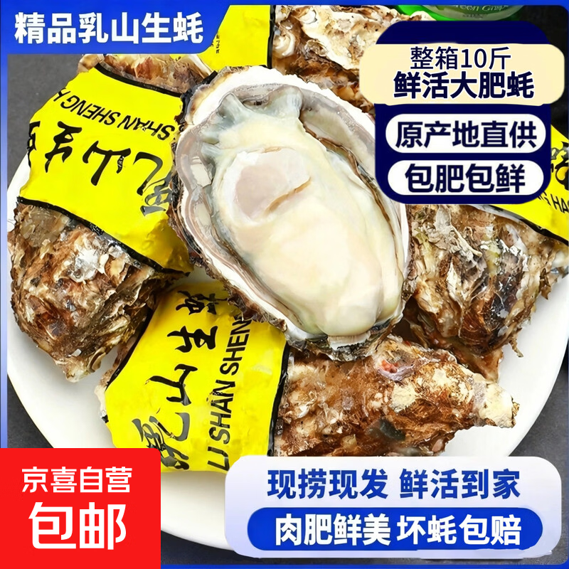 鲜活乳山生蚝新鲜正宗乳山牡蛎海蛎子5斤箱/10斤箱 特大现捞 6XL蚝王(6-9只每箱)带箱5斤