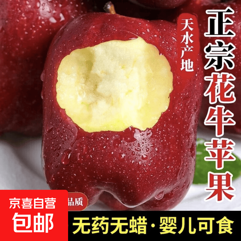 【花牛苹果】甘肃高山花牛苹果甜脆多汁产地直发应季现摘可面可脆 爆款热卖：带箱5斤70-75mm中果
